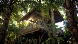 Dorado Beach, Ritz-Carlton Reserve in Puerto Rico - Spa Botánico - Treehouse