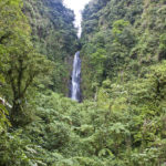365 Flüsse fließen auf der kleinen Insel Dominica ins Meer - und im dichten Dschungel finden sich zahreiche spektakuläre Wasserfälle -wie hier einer der beiden Trafalgar Falls.