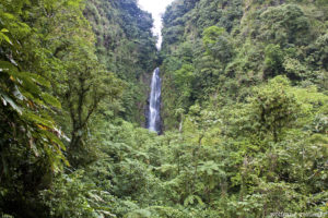 365 Flüsse fließen auf der kleinen Insel Dominica ins Meer - und im dichten Dschungel finden sich zahreiche spektakuläre Wasserfälle -wie hier einer der beiden Trafalgar Falls.